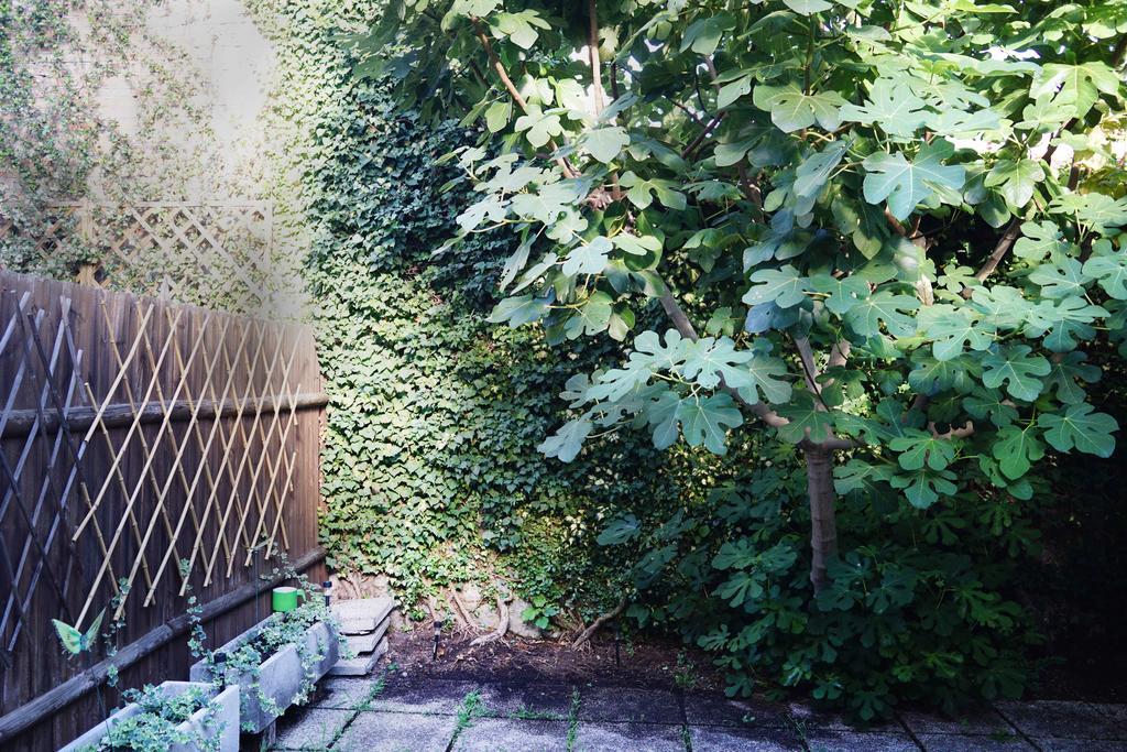 Appartement La Maisonette Et Son Jardin